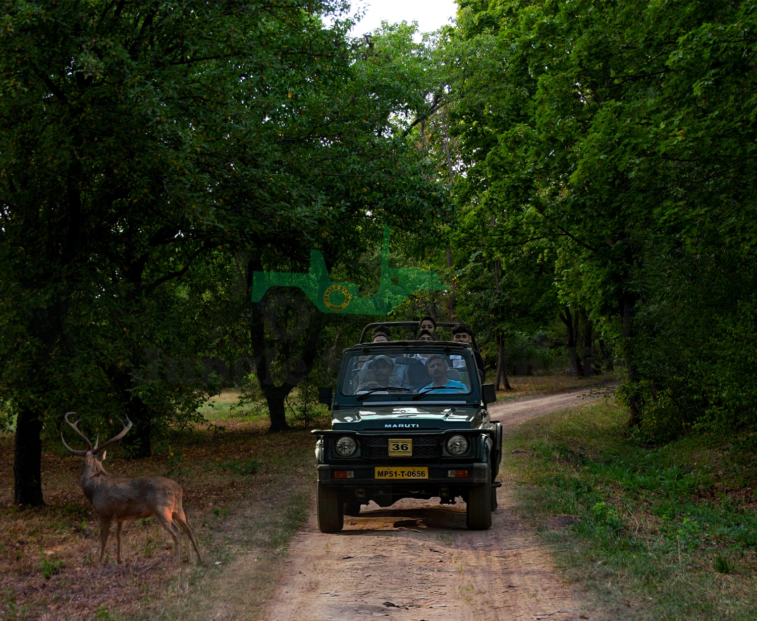 Kanha Holiday Tour with 1 Jeep Safari Times Canter Safari